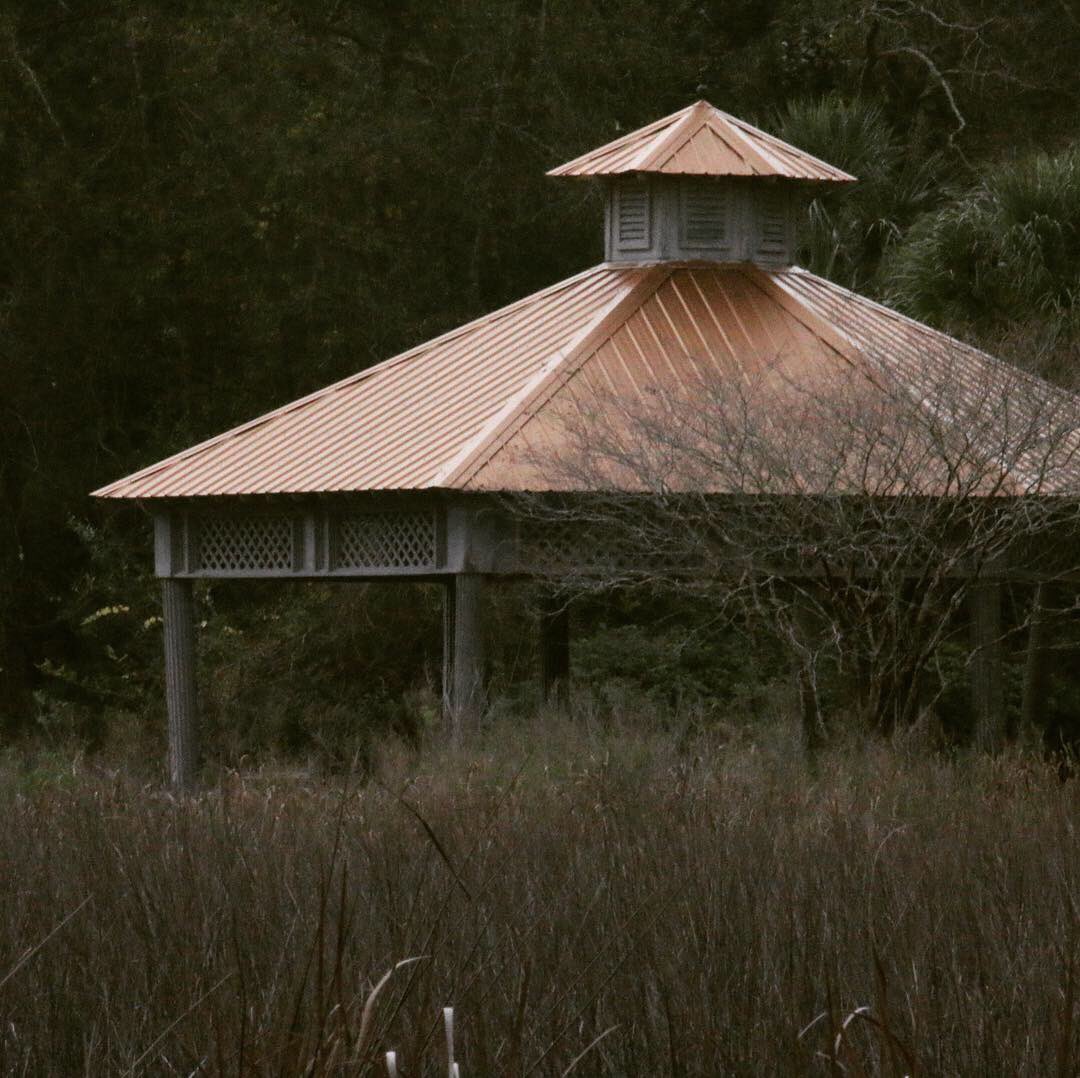 JBrannanLive's tweet image. Did some “huntin” this mornin and shot me a purrty bird... 
#birdmodel #mscoastlife