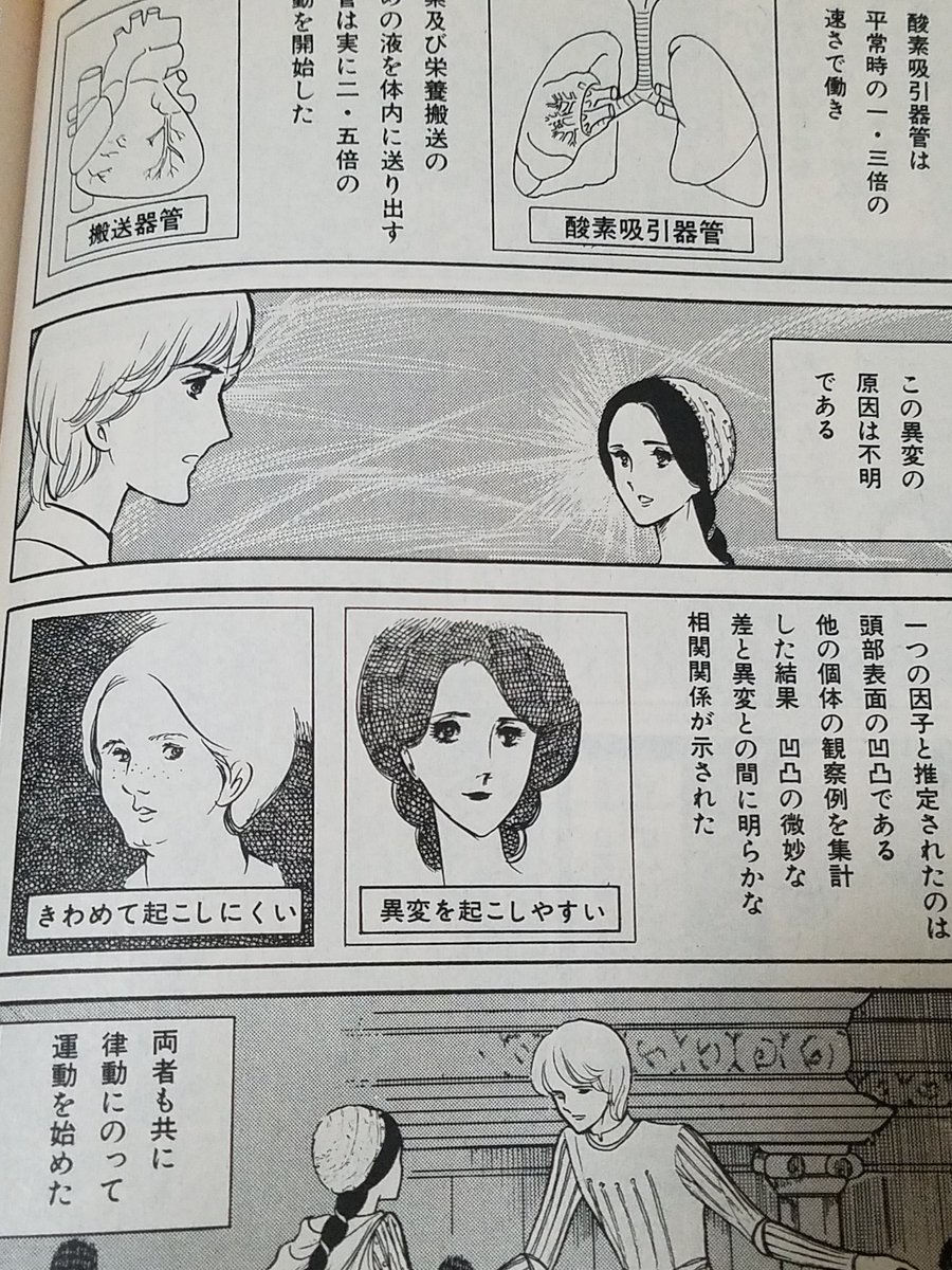 カンビュセスの籤