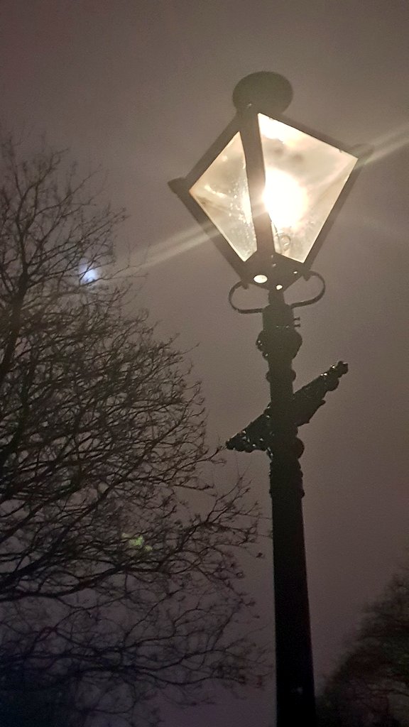 OldDublinTown's tweet photo. As soon as you enter the #PhoenixPark from Parkgate Street you are transformed back to #Victorian times
Gas Lights are the only illumination used for the paths and roads of the park
#LoveDublin
@VisitDublin @phoenixparkopw @DublinZoo @Traveliremag @TripAdvisor @victorianDublin https://t.co/2WtqXmVlSs