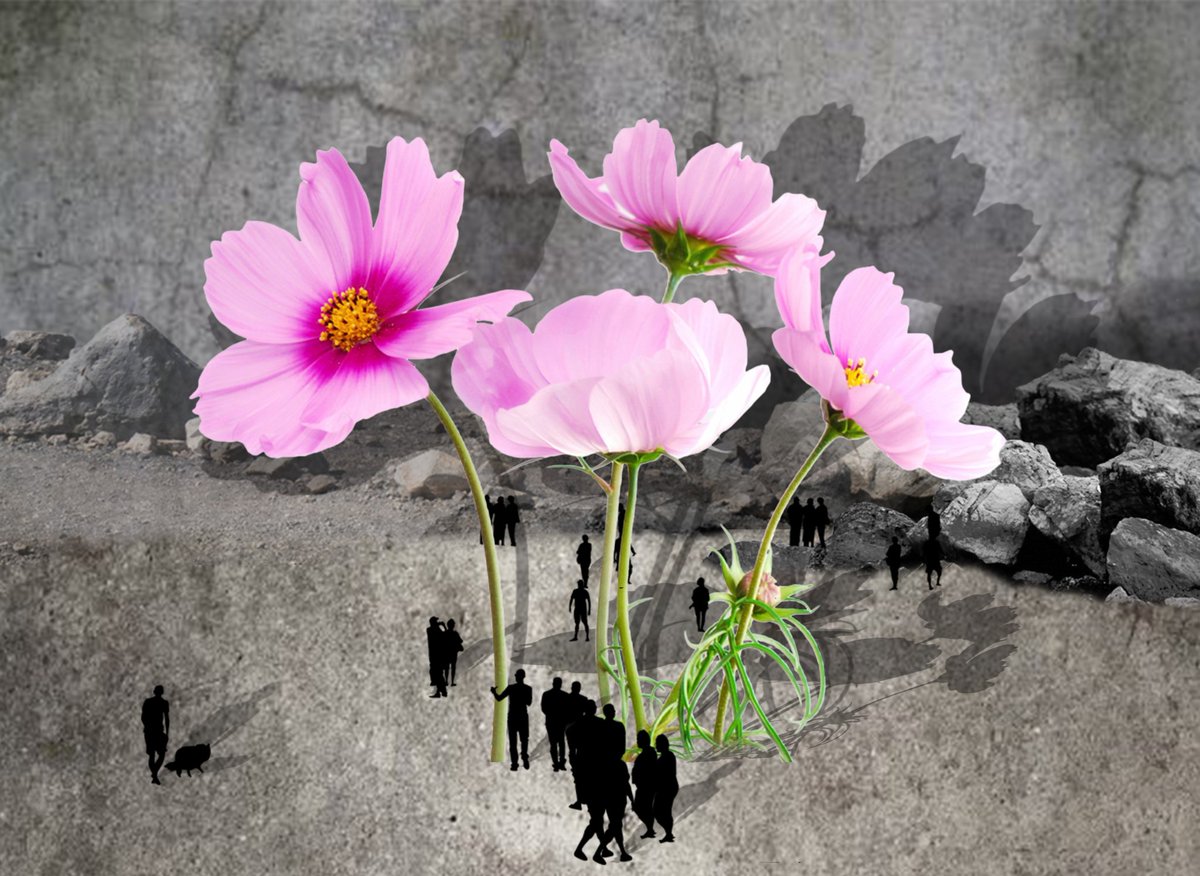 Cosmos in a landscape.
Find us on Instagram at @cadscape_services