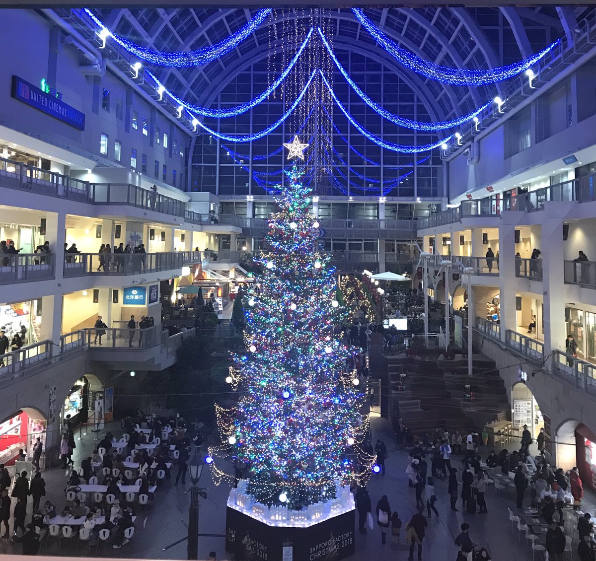 プリシラ クラフト作家 セラピスト アクセスバーズやばいです