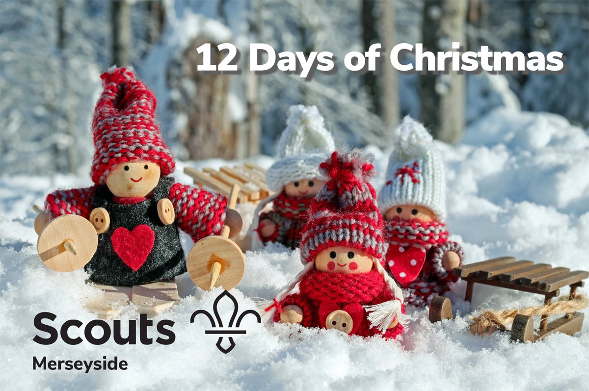 Merseyside Scouts tweet media