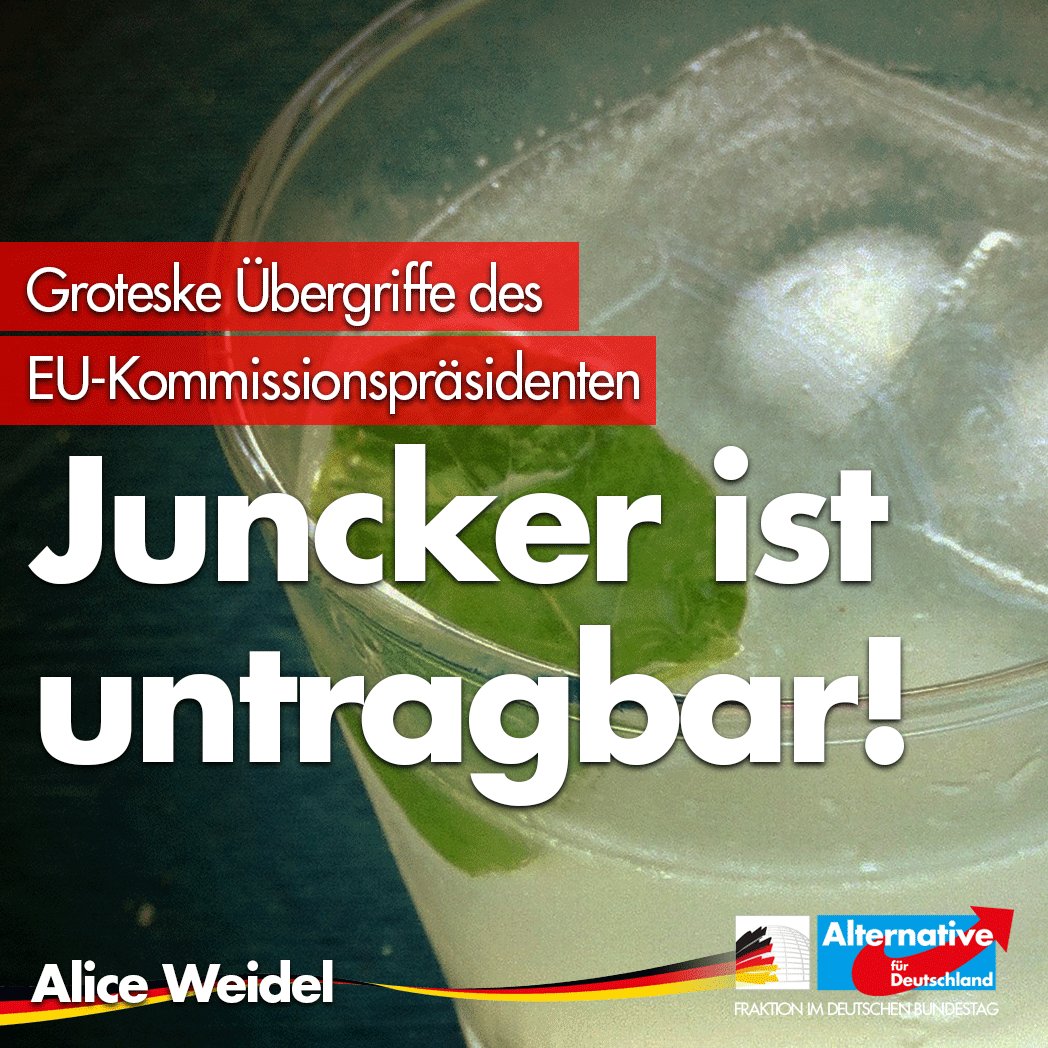 Alice Weidel tweet media