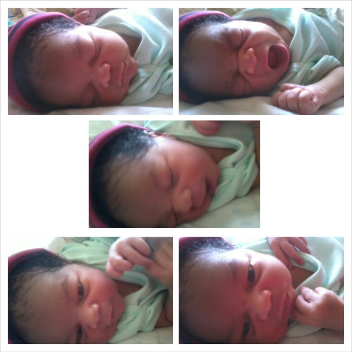 kyle raylen tweet media