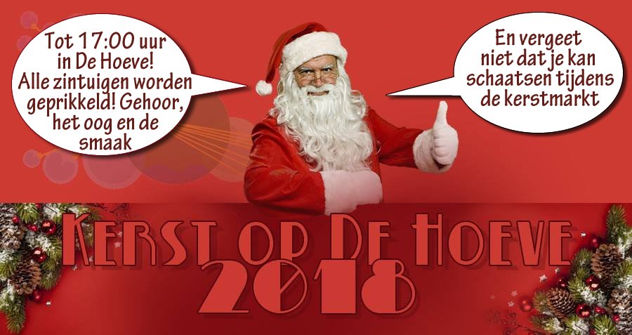 GRATIS KERSTMARKT in De Hoeve! Kijk voor het hele programma op dorpdehoeve.nl/nieuws/cultuur…