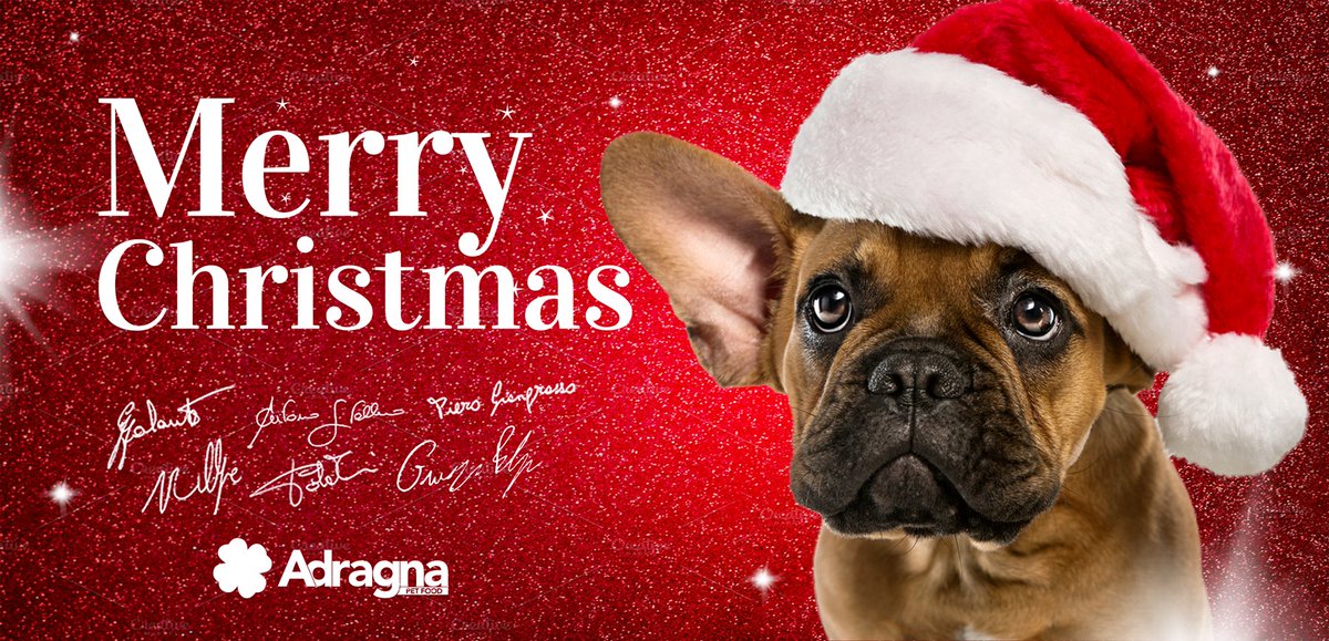 Adragna Pet Food Tanti Auguri Di Buon Natale E Di Un Felice Anno Nuovo Da Adragnapetfood