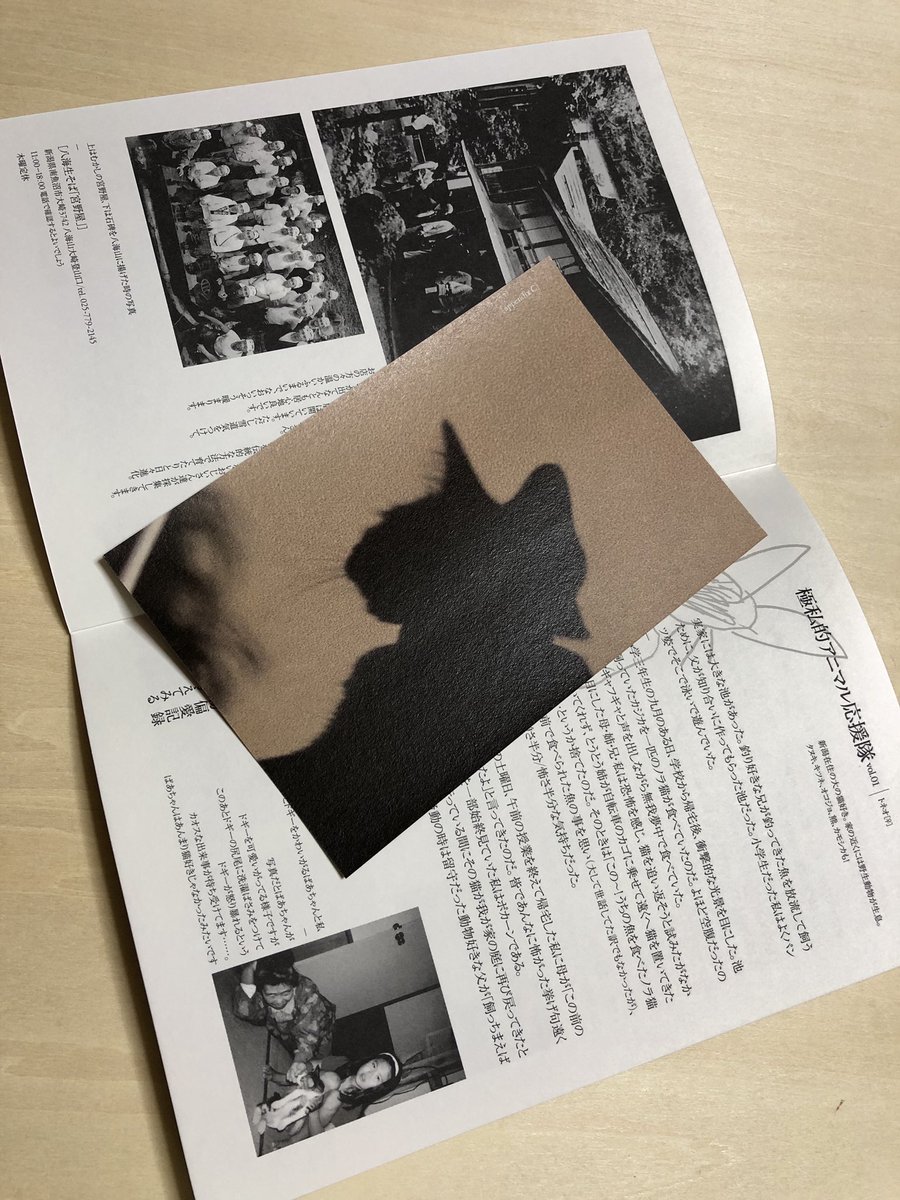 Edition Nord Design Work フリーペーパー なしのつぶて 002 そぼまごissue 企画 編集 デザイン 堤あやこ Edition Nord 新潟市の 古本もやい より全国に配布中 Furuhonmoyai T Co Qmcquoxf5x