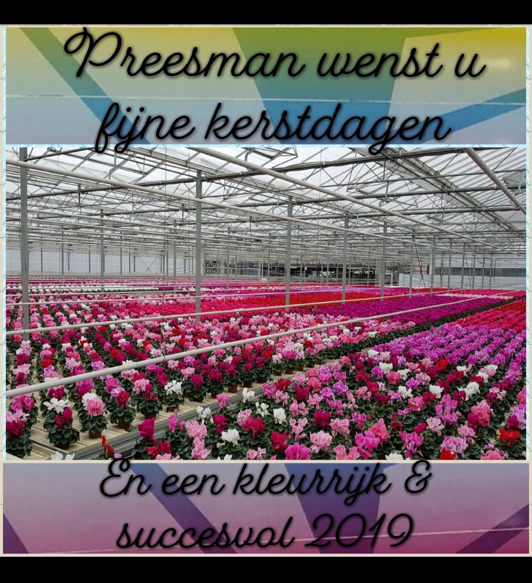 PreesmanPlant's tweet photo. https://t.co/04MJFPwQ6M