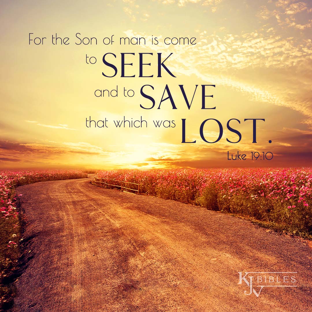 KJV Bibles Store on Twitter: &quot;&quot;For the Son of man is come to seek and to  save that which was lost.&quot; Luke 19:10 #KJV #bibleverse #verseoftheday… &quot;