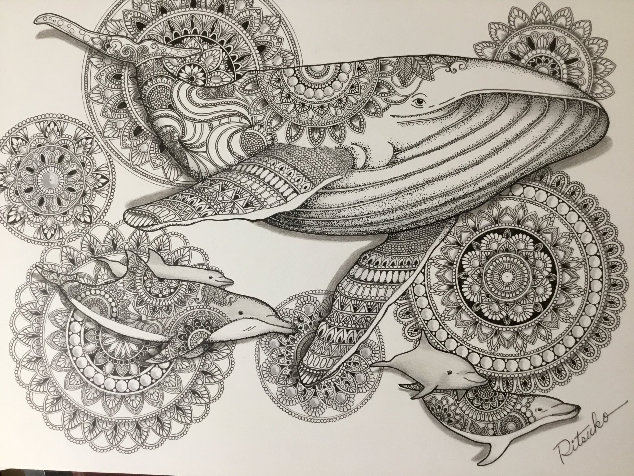 ボールペンアート「林檎」イラスト原画 原画 1点もの ボールペンアート 色鉛筆画 ボールペン画 日本人