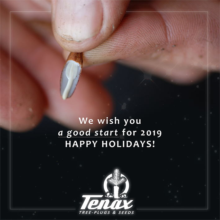 Prettig Kerstfeest en een Gelukkig Nieuwjaar!