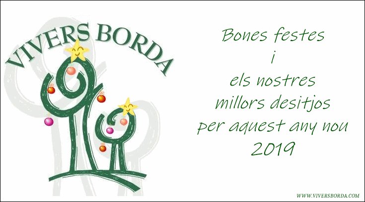 ViversBorda's tweet photo. Tot l’equip de VIVERS BORDA us desitja un BON NADAL I UN PRÒSPER ANY NOU 2019. https://t.co/kcoQfeOvuX