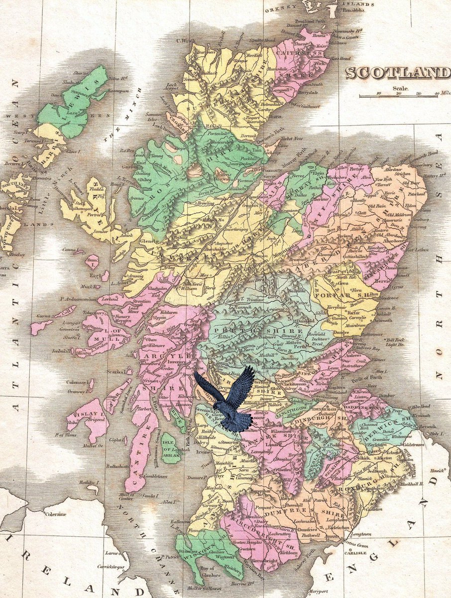 According to legend, when George IV visited Scotland in 1822 a prankster put a fish on top of a local provost’s carriage that was part of the king’s procession. For that reason, a salted herring was known as a GLASGOW MAGISTRATE in 19th century English.