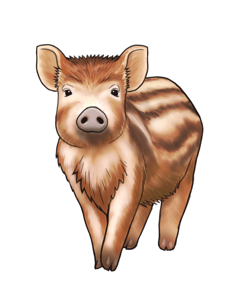 うり坊のtwitterイラスト検索結果 古い順 うり坊のtwitterイラスト検索結果 古い順