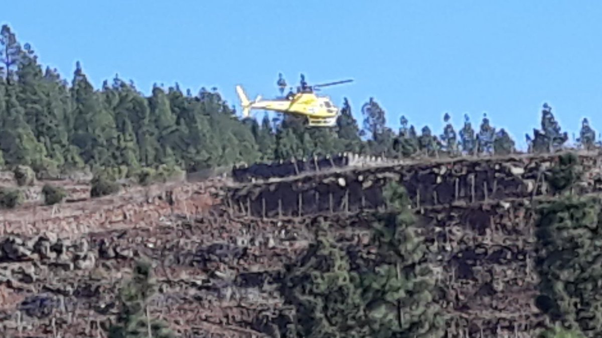 #ACTUALIZACIÓN #INCENDIO Se informa desde el área de Seguridad, con motivo del incendio en la cumbre del municipio, que están cerrados los senderos y las pistas forestales desde Cruz de Tea y Madre del Agua #GrandilladeAbona