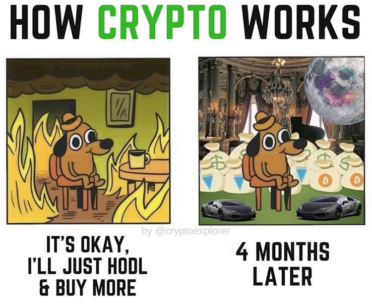#Exchange How #Crypto works 😅😂 #Bitcoin #BTC