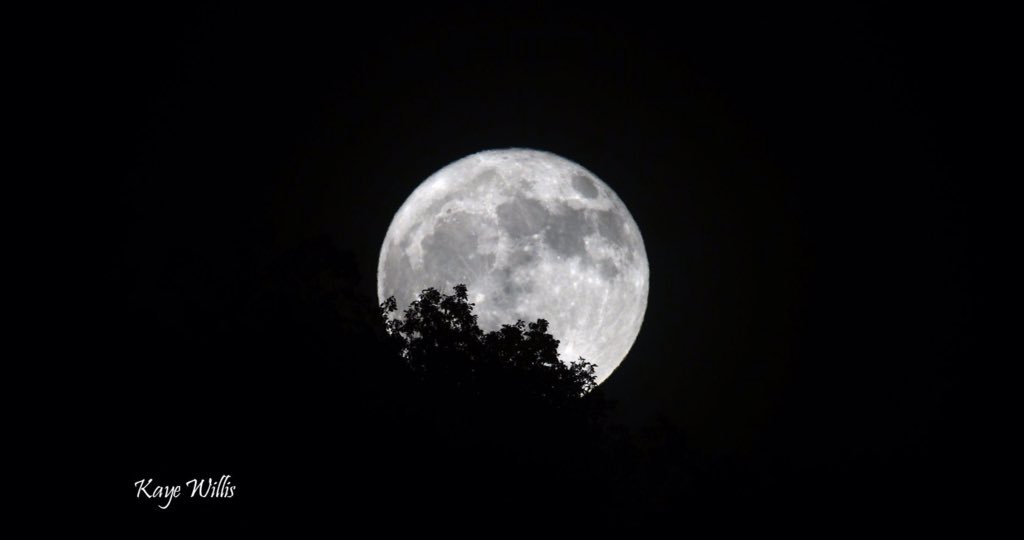 AppalachianInc's tweet photo. December Moon @KayeWillis @eky https://t.co/reAmWWMyGp