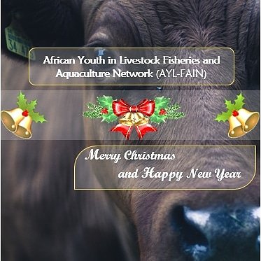 ayl_fain's tweet photo. From all the Leaders of  55 Members States of Africa Unions ( AU) @ayl_fain  wish you all Merry Christmas and peaceful New Year for jobs and wealth creation . Special Thanks to @au_ibar  and @AAINOnline  for believing in Us. #AYL_FAIN https://t.co/fg0WcHrmF1