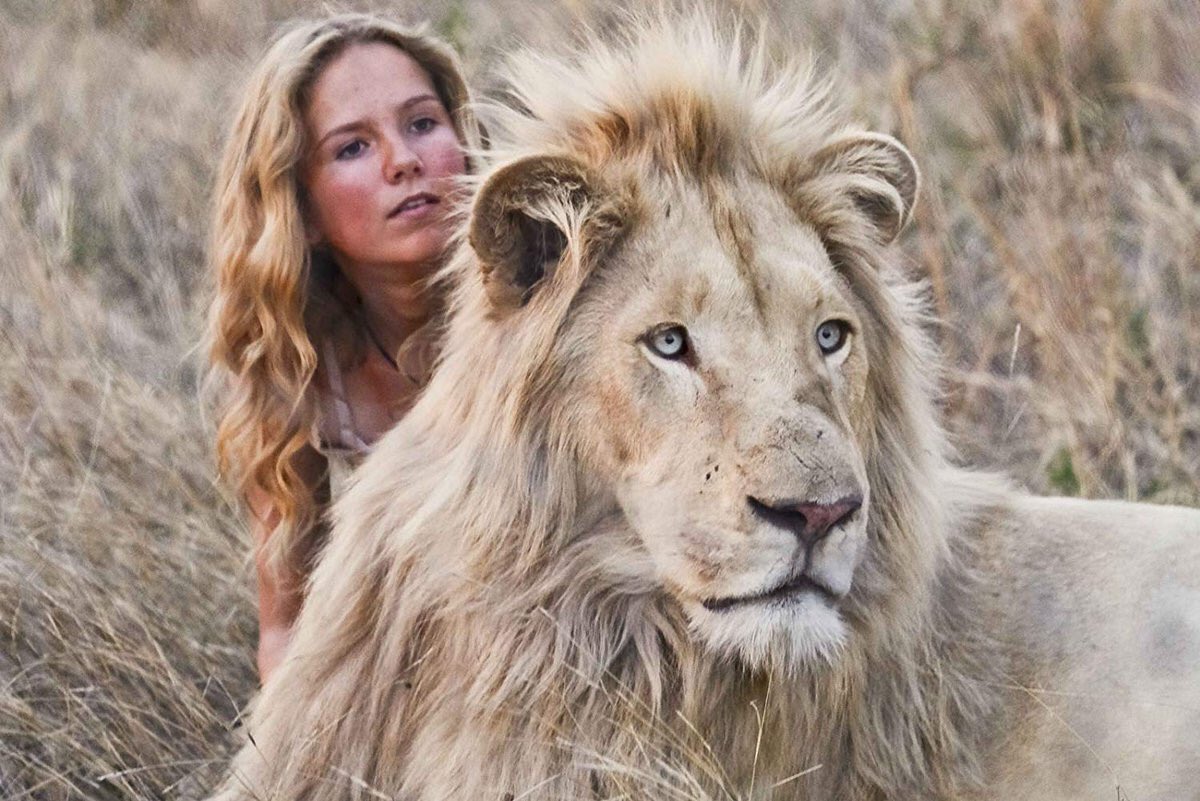 _DNVP_'s tweet photo. พึ่งรู้ว่าหนังเรื่อง #MiaAndTheWhiteLion  ใช้เวลาถ่ายกว่า3ปี! ผกก.เลือกใช้สิงโตเผือกแรกเกิด ถ่ายแต่ละช่วงอายุจนโตเต็มวัย คือ เจ้าสิงโตเผือกโตมาพร้อมกับนักแสดง เลยทำให้ผูกพัน เข้าฉากกันได้แบบไม่ต้องพึ่งCGเลย เจ๋งมาก เป็นหนังที่ควรดูอีกเรื่องส่งท้ายปี #movietwit https://t.co/pkNETP153J