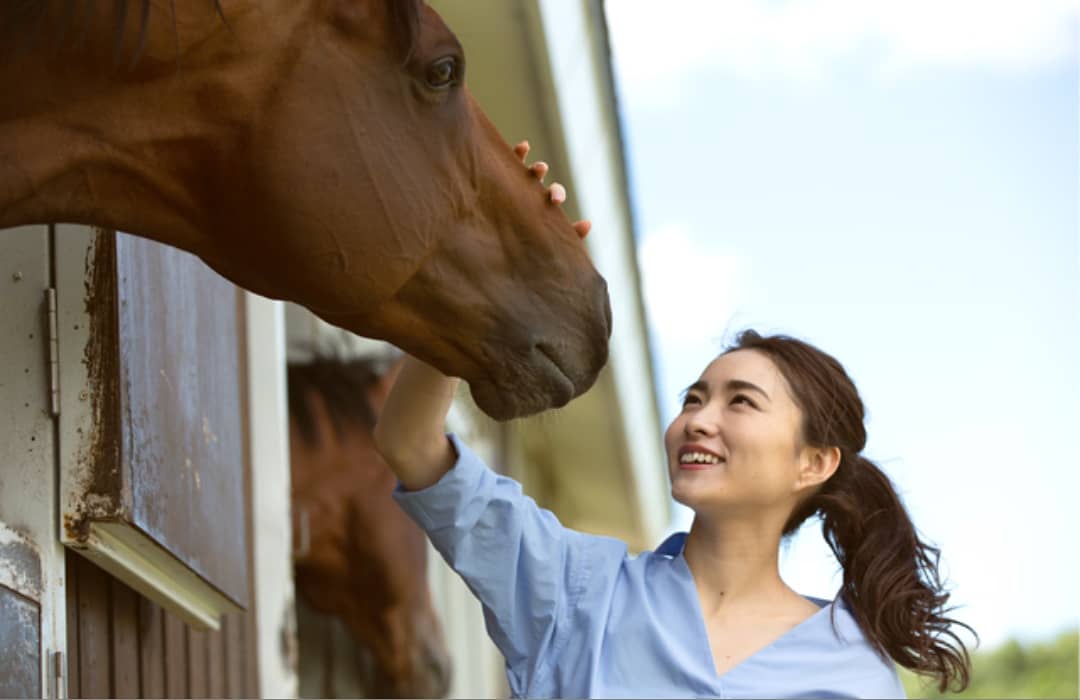 HPモデルをさせて
いただいた
#シルクホースクラブ さんの
所有の競走馬
#ブラストワンピース
が #有馬記念 で
#優勝 🏆🏇✨🎉🎊
おめでとうございます👏♥️♥️♥️✨
#silkhorseclub
#馬 #北海道 #千歳 #ノーザンホースパーク #有馬記念2018 
#horse #写真 #植杉佳代
#photo #競馬 #馬主