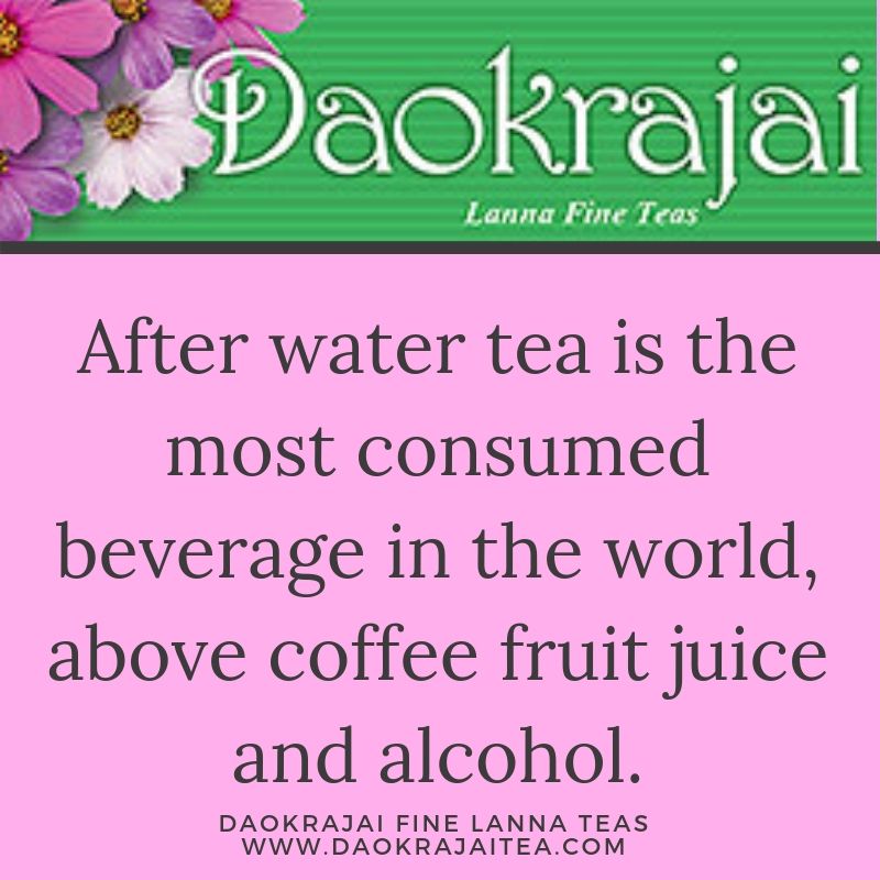 DaokrajaiTea's tweet photo. Did you know? 

#teafacts #tea https://t.co/M2i3RQ0JsH