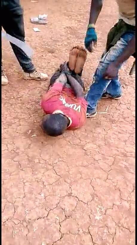 Working For Our Wellbeing tweet media