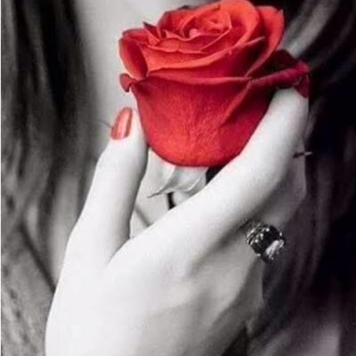 #صورة_جديدة_للملف_الشخصي