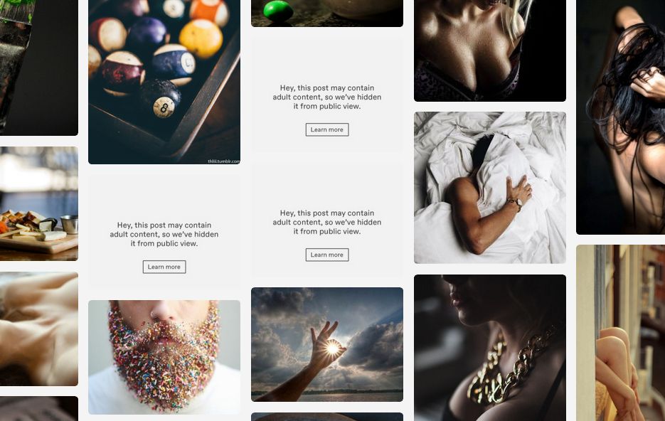 2mblr.com is now open again for new registrations.

Blogs flagged for 'adult content' on Tumblr can still be transferred to 2mblr today (Sun).   See example - screenshot is Tumblr, link 2mblr.com/myanilla/552047 is same posts safely on 2mblr.com