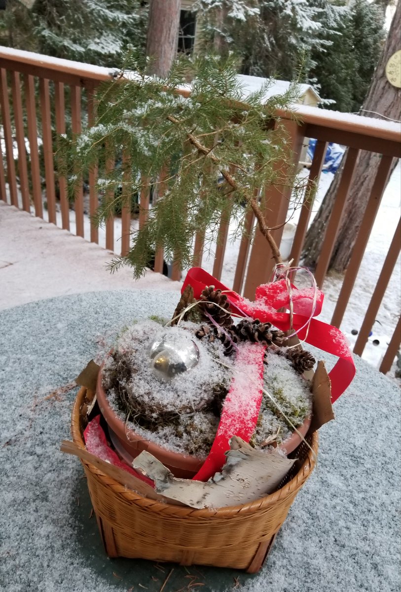 UPTreefarmer's tweet photo. Holiday Greetings from #DecompressU! #Airbnb #Chassell #RusticCabinwithSauna #RoomNearMichiganTech #Keweenaw #upperpeninsula #PureMichigan https://t.co/qIyL0F1P6H