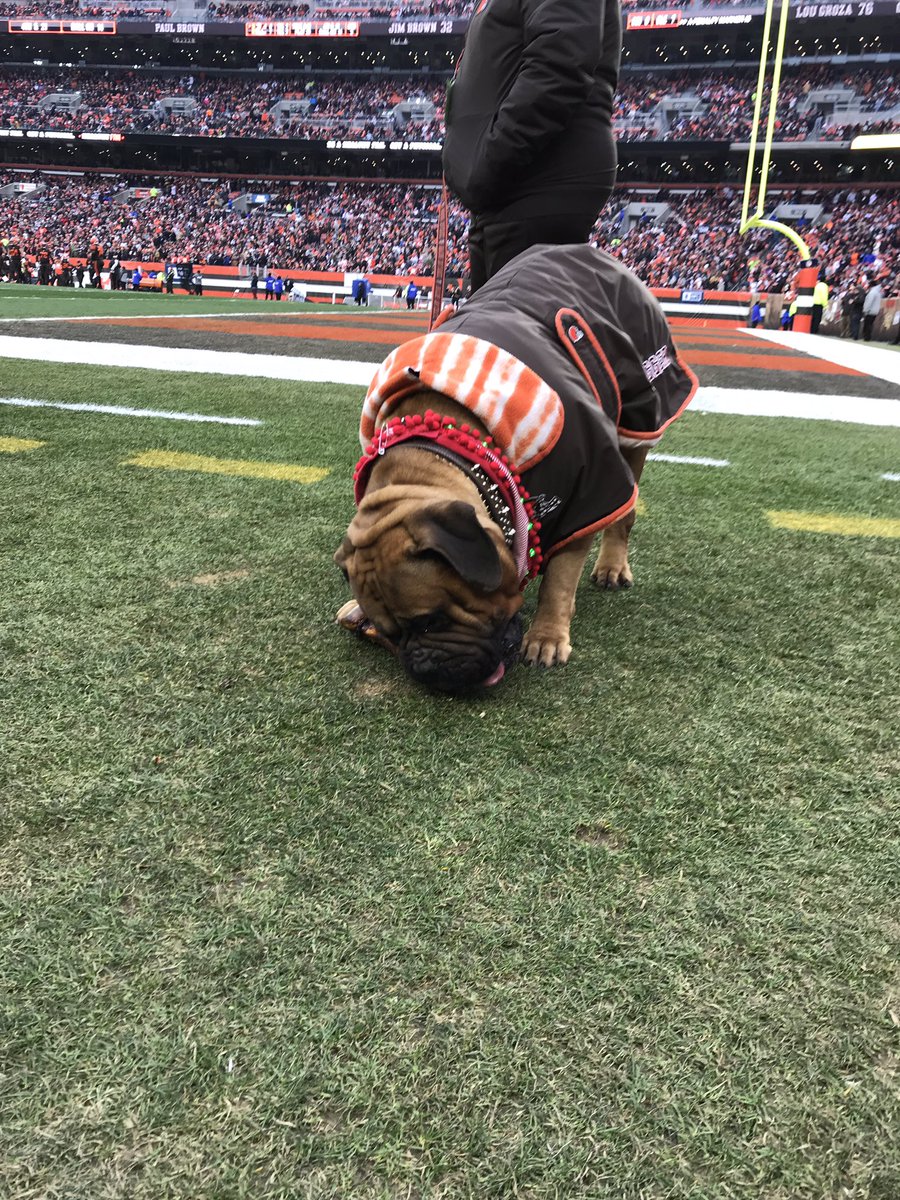 universlwindows's tweet photo. Congratulations to the Sauer family of Rocky River!! Winners of our home makeover/@clevelandbrowns customer appreciation package! #gobrowns #universalwindowsdirect https://t.co/ByELTupoVc