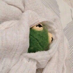 yourproblem_1's tweet image. Завтра последний день в школе,а потом каникулы.
И Я буду сидеть все дни в одеяле и ничего не делать🙃