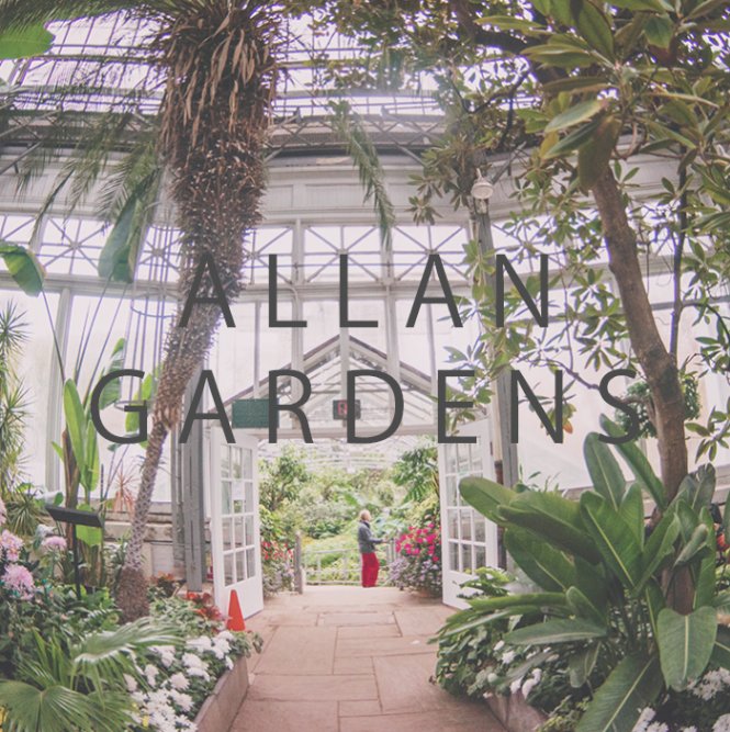 Need an escape from the cold of winter til 5 in #toronto &amp; to get a family outing going before the craze starts? Allan Gardens in Toronto is hosting another free flower viewing, where you can pretend the warmer weather has hit toronto a little early. #everyridecounts #bikoappen