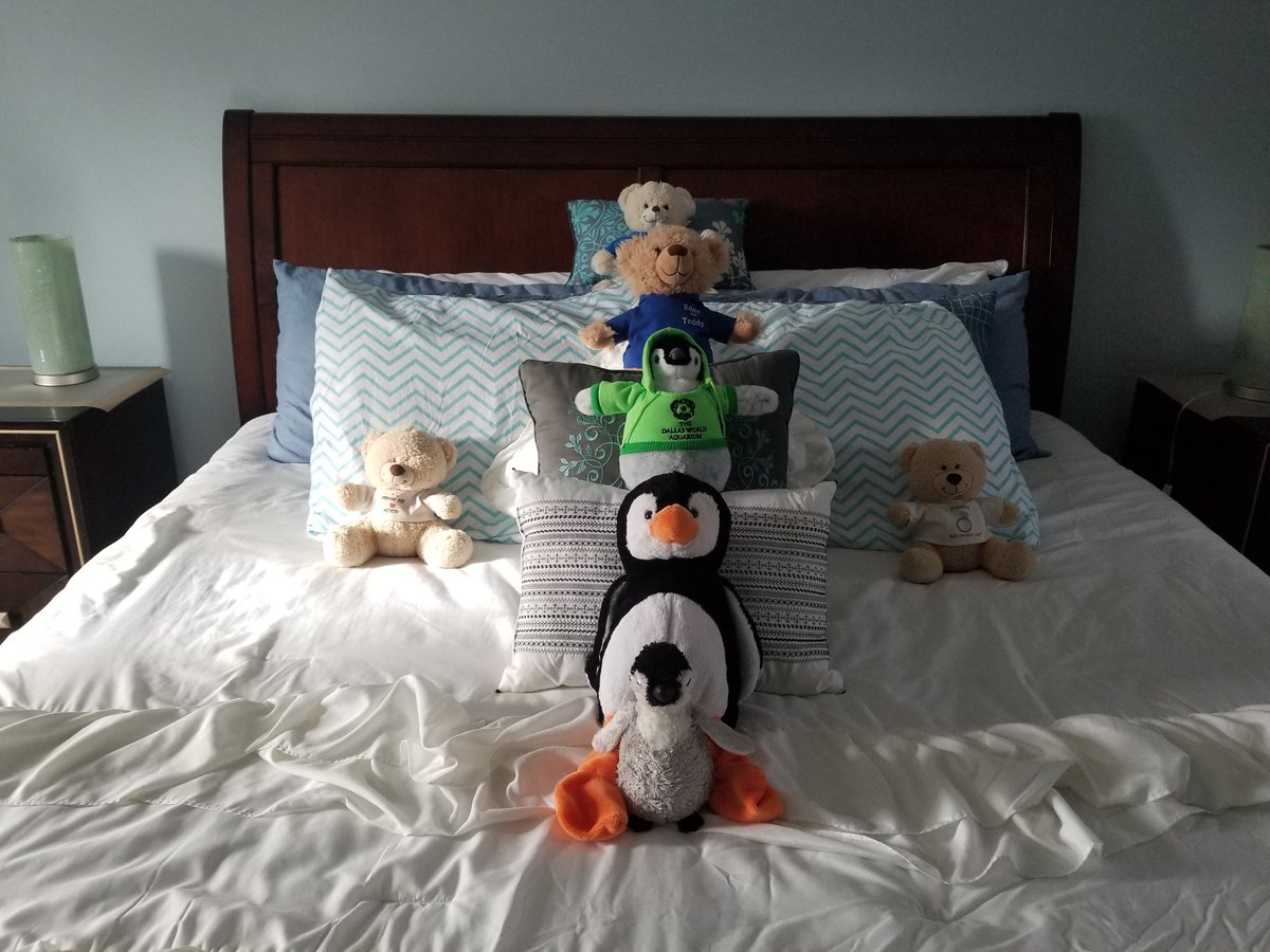 Greetings to our furrends abroad!
-Vegas, Eddy, Mr Dallas P, Big P, Baby P, Chubby Dude and Misiu
<a href="/EddyTheTeddyETT/">Eddy The Teddy</a> <a href="/perky_penguin/">Perky Penguin</a> @Perry__Penguin <a href="/brombelbeer1/">Brombelbeer</a> <a href="/LilDeanoBear/">LilDeanoBear</a> @ChubbyB68572551 <a href="/FlynnTheBear/">Flynn Bear</a> 🐧🐻