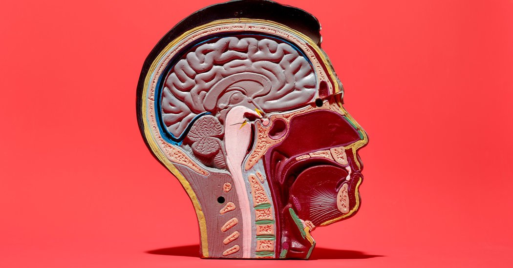 drkent's tweet photo. What We Learned in 2018: Science https://t.co/S7OVDsaIbr via @NYTScience #NYTScience #science https://t.co/3YIBXrJrm4