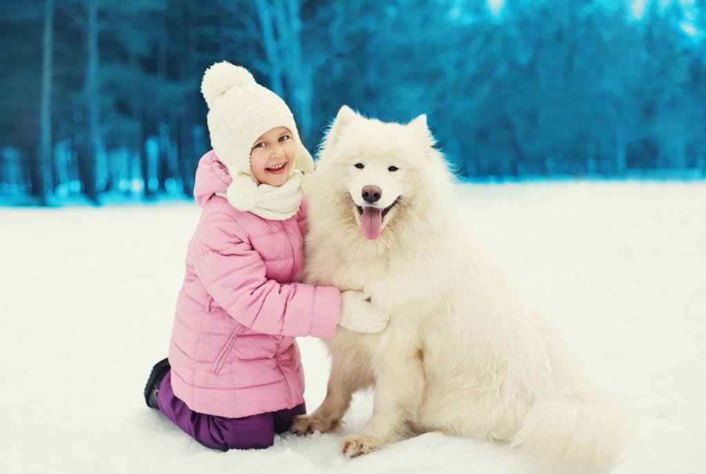 RawPets's tweet photo. "Happy winter, everybody!" https://t.co/5sgYiUsrjy #Dogactivities #Wintertime #Doghealth https://t.co/lnCbbC9GBR