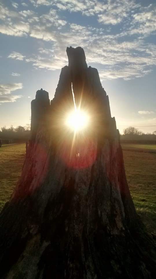 #Solstice
The turning of the year.
Humans have marked this moment for so very, very long.

"It is only Light and Love that can push back against the cold and the darkness..."

(#Solstice 2018 photo credit <a href="/girasol_66/">Anke</a>: x.com/girasol_66/sta…)