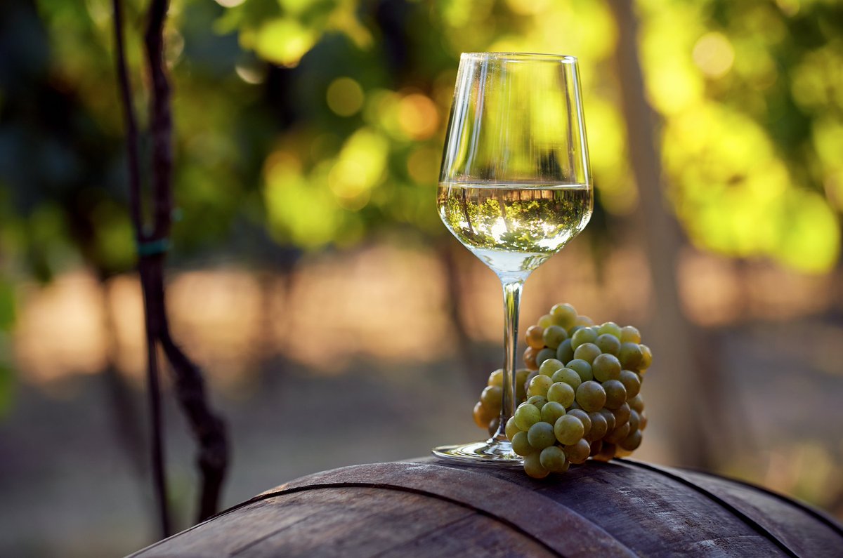 TheFranceShow's tweet photo. Join us at #TheFranceShow January 25-27 at @olympia_london, and meet our #ExhibitorOfTheWeek @Joiedevinuk π For a selection of exceptional wines sourced from small French producers, on offer to taste and buy, visit the team at stand L51!π·πΎ
TICKETS > https://t.co/CjVOMhUCBt https://t.co/cCgK5H1bJT