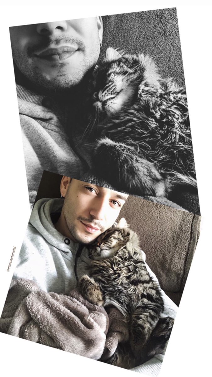 JADELOFICIAL's tweet photo. //MiMo// https://t.co/8vsNbg55EG