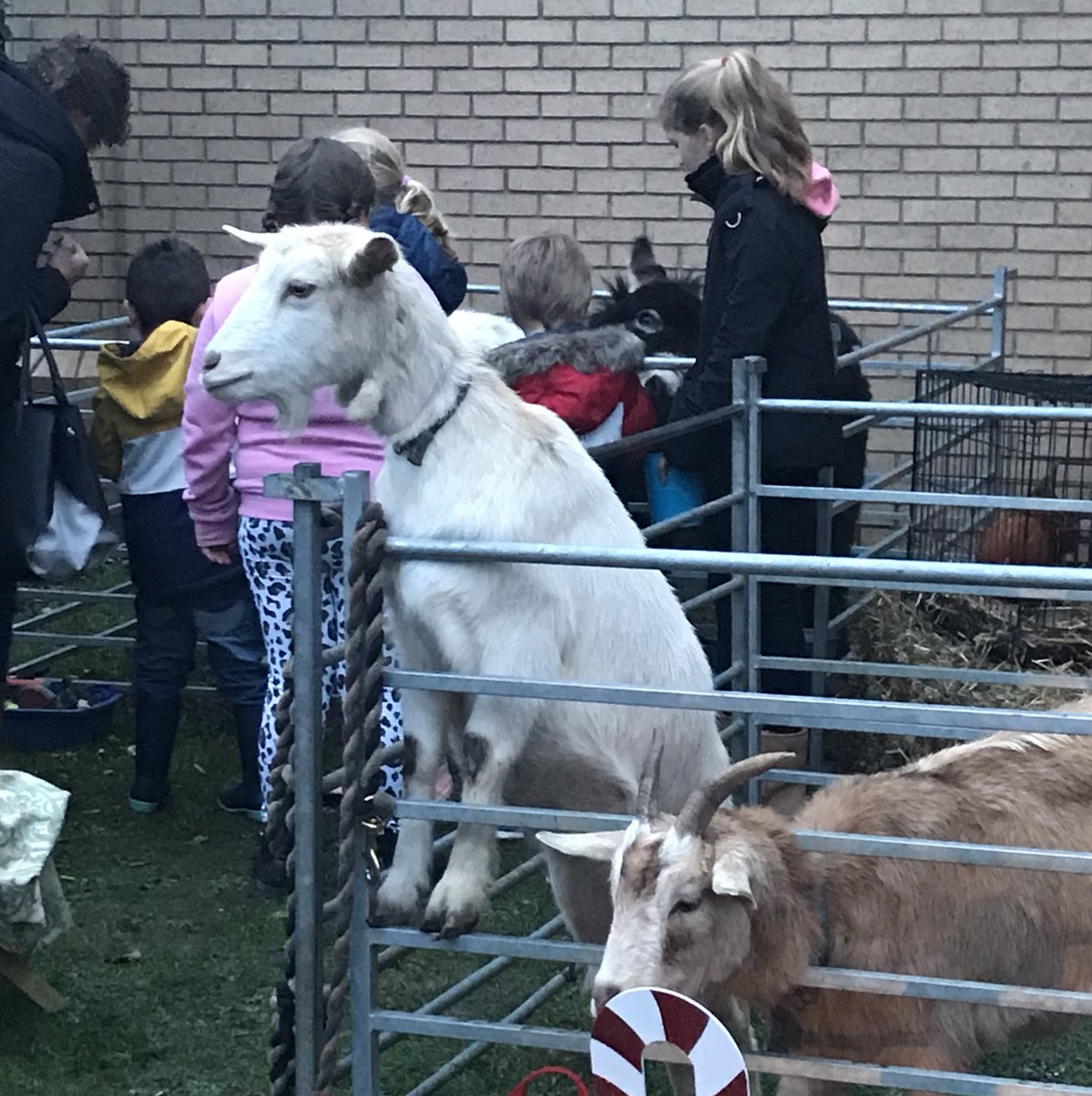 Kerith Community tweet media