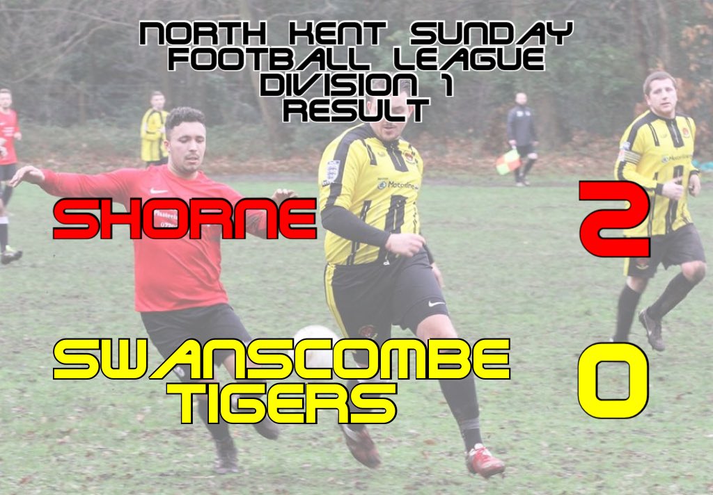 Media Tweets by Tigers FC (STFC_mens) Twitter