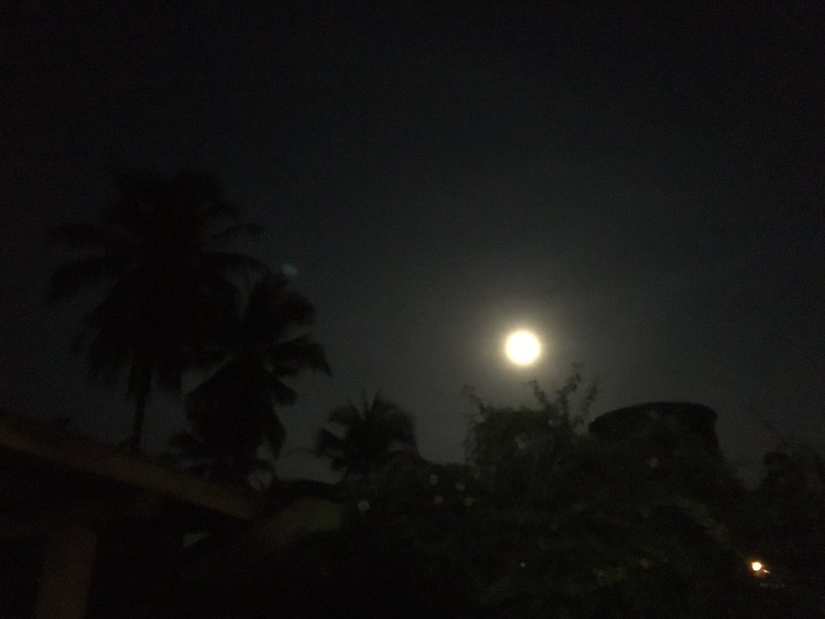 arvinwee's tweet photo. Rise and shine. https://t.co/YprwxVBWxX
