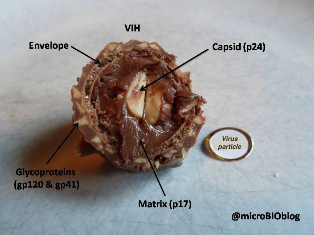 microBIO tweet media