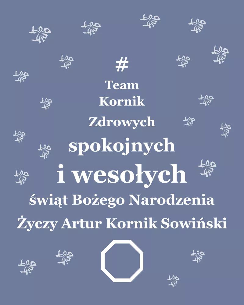 artur_sowinski's tweet photo. 🌲 #MerryChristmas https://t.co/eS5iJWa5WP