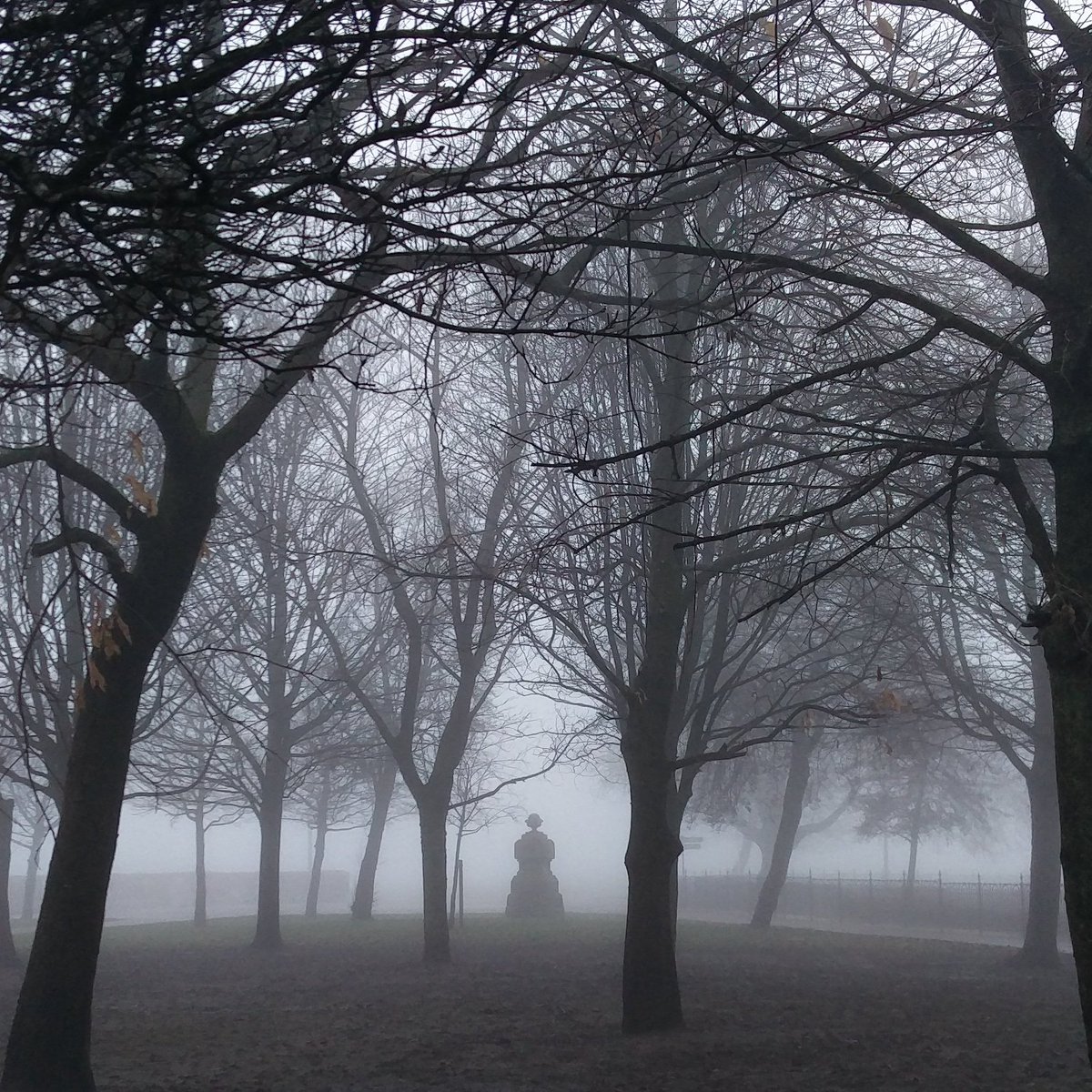 Rob K-A 🌈👬🐶🐶🐢🏳️‍🌈🏴󠁧󠁢󠁳󠁣󠁴󠁿🇮🇪🇪🇺 tweet media