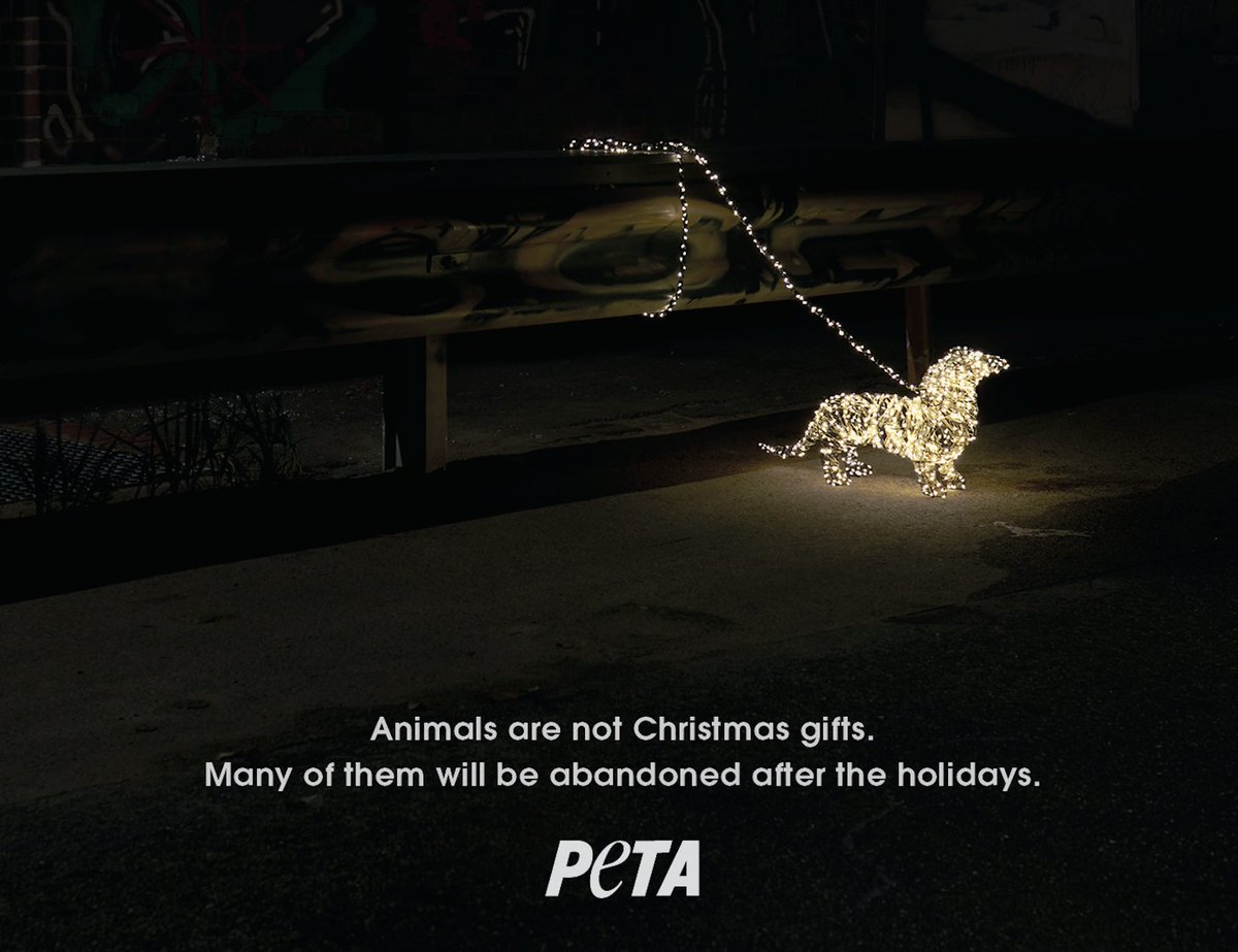 PETA tweet media