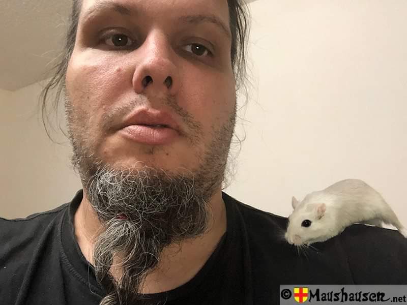 Maushausen's tweet photo. Heute vor genau einem Jahr, etwa um diese Zeit hat "Quendolin der Weise" seine ... https://t.co/2slsMZByu9

#Mäuseroulette #Mäuseroulett #Maeuseroulette #Maeuseroulett #Mauseroulette #SpielmitderMaus #Mäusespiel #Maushausen #Tierschutz #Tierschutzgesetz #Wirbeltierschein https://t.co/VkAtKzdWWH