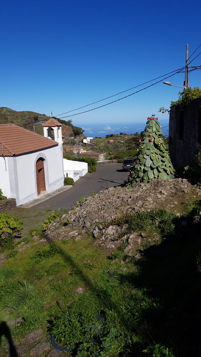 feluuko's tweet photo. Con nuestro tradicional árbol de Tuneras, los vecinos de el pueblo de Tiñor, Valverde, Isla de El Hierro, les deseamos una Feliz Navidad 🎄 @eldia @diariodeavisos @laprovincia_es @MeteoRTVC @jacobpetrus_tve @Meteoralia https://t.co/hbjBXj3CMA