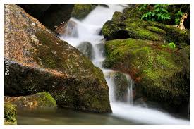 #Nature &amp; Trave
