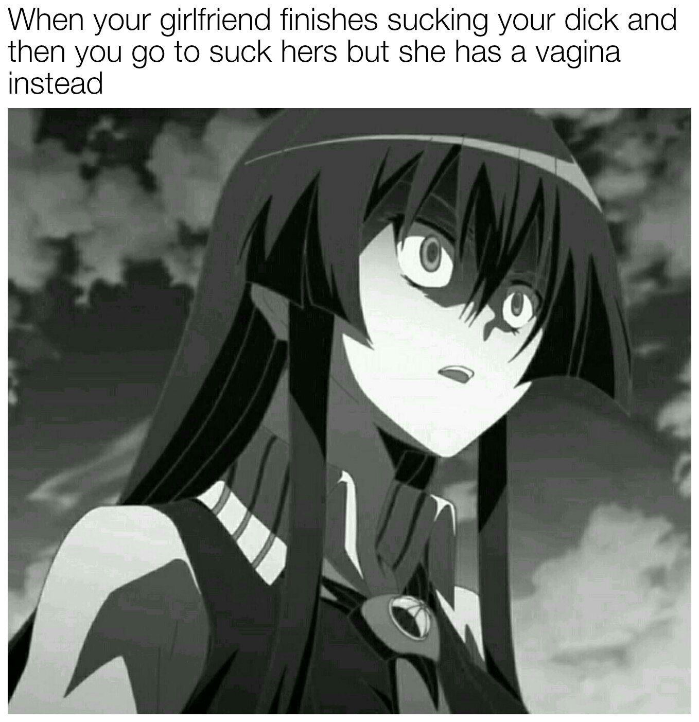 Anime Memes on X: Akame ga kill meme No.162  / X