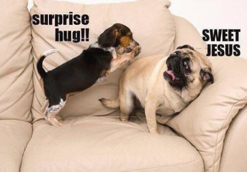 AnimalDose's tweet photo. https://t.co/0S5bGVi6eF
